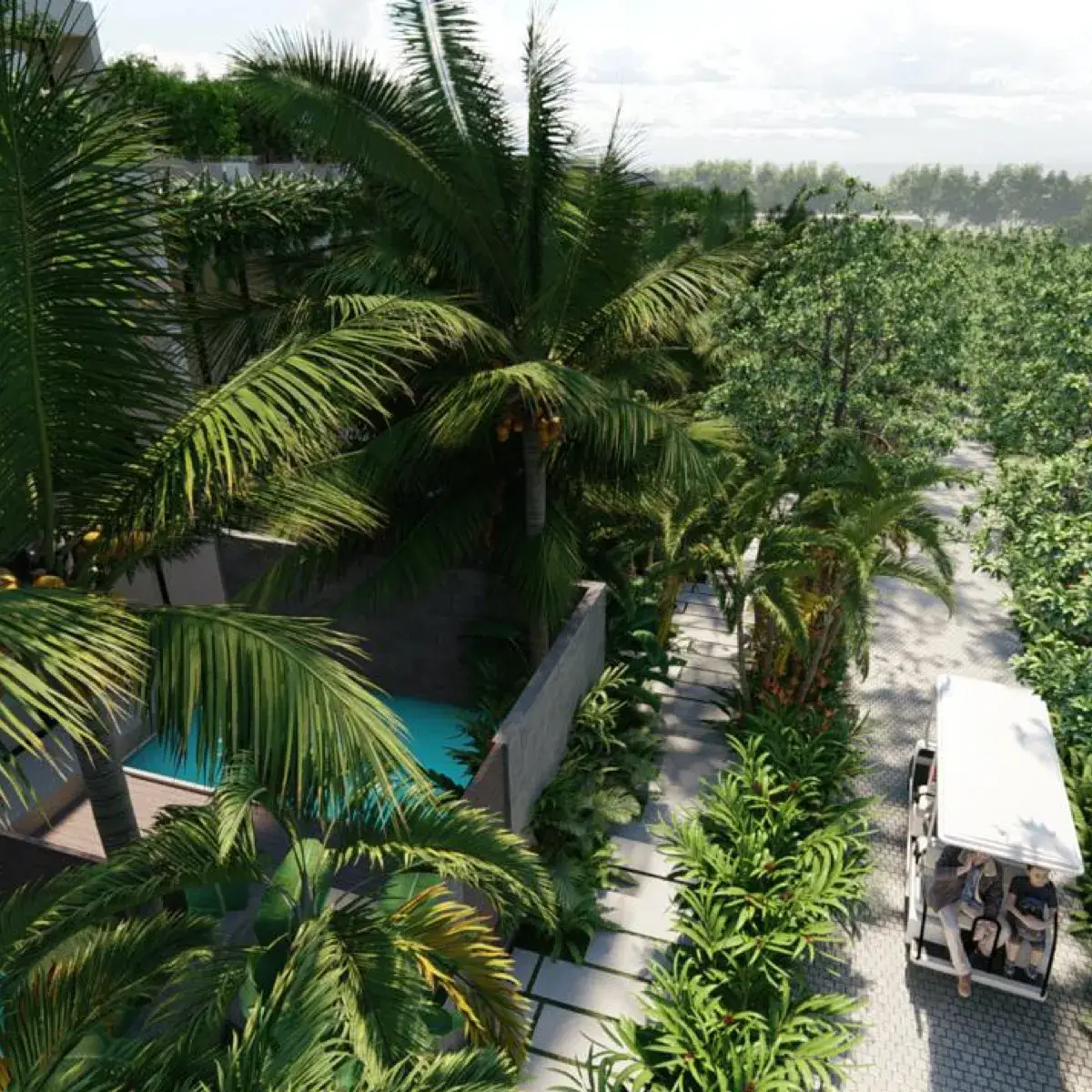 Aerial view of a lush tropical path surrounded by palm trees and greenery, with a golf cart driving along the pathway next to a private pool.